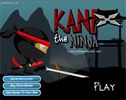 Play: Kane the Ninja