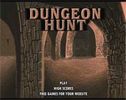 Play: Dungeon Hunt