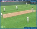 لعبة Cricket